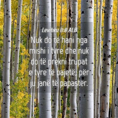 Picture 04 - Levitiku 11:8 ALB - Nuk do të hani nga mishi i tyre dhe nuk do të - Bible Verse Picture
