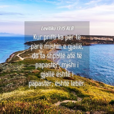 Picture 04 - Levitiku 13:15 ALB - Kur prifti ka për të parë mishin e gjallë, do - Bible Verse Picture