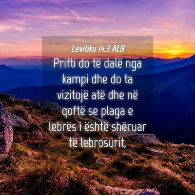 Picture 04 - Levitiku 14:3 ALB - Prifti do të dalë nga kampi dhe do ta vizitojë - Bible Verse Picture