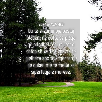 Picture 04 - Levitiku 14:37 ALB - Do të ekzaminojë pastaj plagën; në qoftë se - Bible Verse Picture