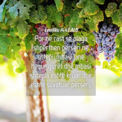 Picture 04 - Levitiku 14:43 ALB - Por në rast se plaga shpërthen përsëri në - Bible Verse Picture