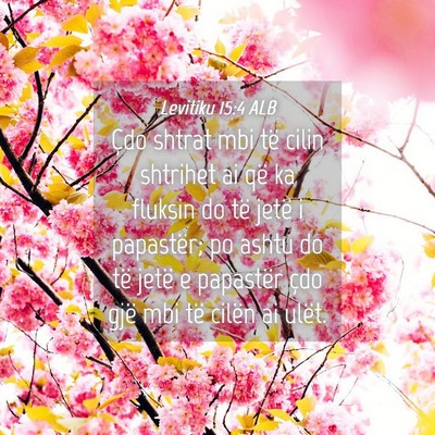 Picture 04 - Levitiku 15:4 ALB - Çdo shtrat mbi të cilin shtrihet ai që ka - Bible Verse Picture