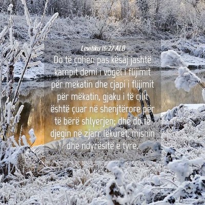 Picture 04 - Levitiku 16:27 ALB - Do të çohen pas kësaj jashtë kampit demi i - Bible Verse Picture