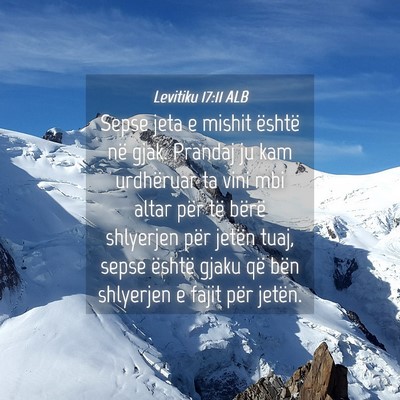 Picture 04 - Levitiku 17:11 ALB - Sepse jeta e mishit është në gjak. Prandaj ju - Bible Verse Picture