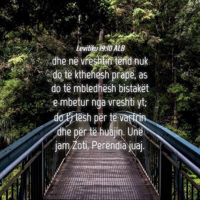 Picture 04 - Levitiku 19:10 ALB - dhe në vreshtin tënd nuk do të kthehesh - Bible Verse Picture