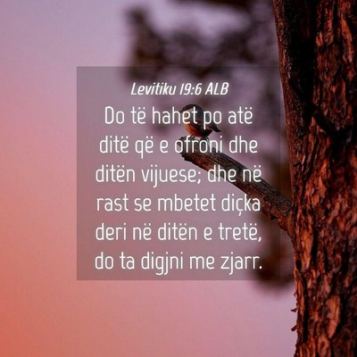 Picture 04 - Levitiku 19:6 ALB - Do të hahet po atë ditë që e ofroni dhe - Bible Verse Picture