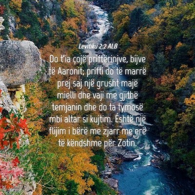 Picture 04 - Levitiku 2:2 ALB - Do t’ia çojë priftërinjve, bijve të - Bible Verse Picture