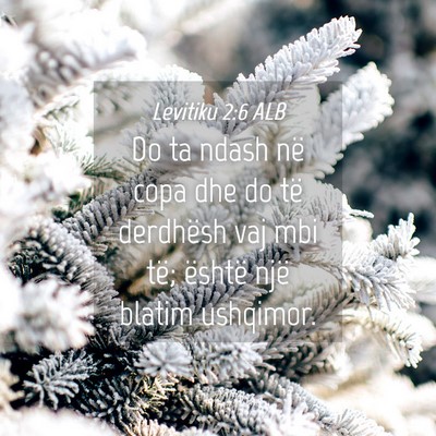 Picture 04 - Levitiku 2:6 ALB - Do ta ndash në copa dhe do të derdhësh vaj mbi - Bible Verse Picture