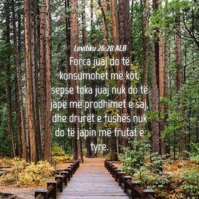 Picture 04 - Levitiku 26:20 ALB - Forca juaj do të konsumohet më kot, sepse toka - Bible Verse Picture