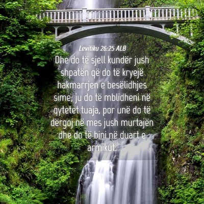 Picture 04 - Levitiku 26:25 ALB - Dhe do të sjell kundër jush shpatën që do të - Bible Verse Picture
