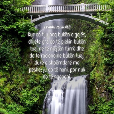 Picture 04 - Levitiku 26:26 ALB - Kur do t’ju heq bukën e gojës, dhjetë gra do - Bible Verse Picture