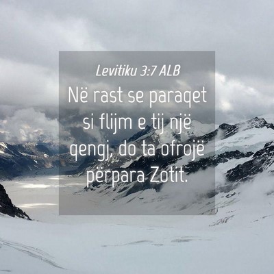 Picture 04 - Levitiku 3:7 ALB - Në rast se paraqet si flijm e tij një qengj, do - Bible Verse Picture