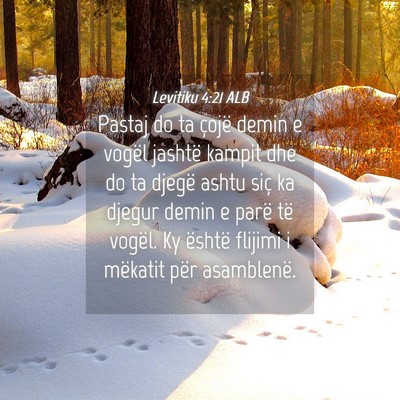 Picture 04 - Levitiku 4:21 ALB - Pastaj do ta çojë demin e vogël jashtë kampit - Bible Verse Picture