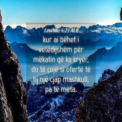 Picture 04 - Levitiku 4:23 ALB - kur ai bëhet i vetëdijshëm për mëkatin që - Bible Verse Picture