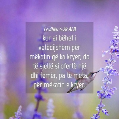 Picture 04 - Levitiku 4:28 ALB - kur ai bëhet i vetëdijshëm për mëkatin që - Bible Verse Picture