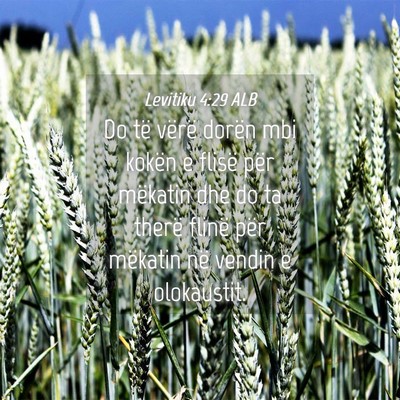 Picture 04 - Levitiku 4:29 ALB - Do të vërë dorën mbi kokën e flisë për - Bible Verse Picture