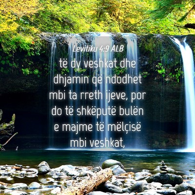 Picture 04 - Levitiku 4:9 ALB - të dy veshkat dhe dhjamin që ndodhet mbi ta - Bible Verse Picture