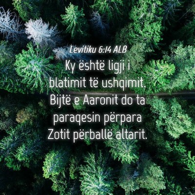 Picture 04 - Levitiku 6:14 ALB - Ky është ligji i blatimit të ushqimit. Bijtë - Bible Verse Picture