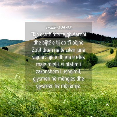 Picture 04 - Levitiku 6:20 ALB - 