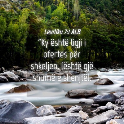 Picture 04 - Levitiku 7:1 ALB - 