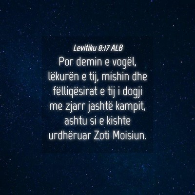 Picture 04 - Levitiku 8:17 ALB - Por demin e vogël, lëkurën e tij, mishin dhe - Bible Verse Picture
