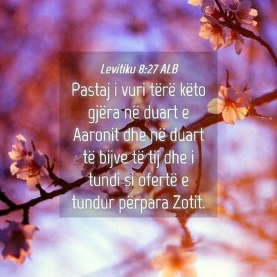 Picture 04 - Levitiku 8:27 ALB - Pastaj i vuri tërë këto gjëra në duart e - Bible Verse Picture