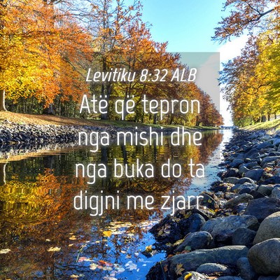 Picture 04 - Levitiku 8:32 ALB - Atë që tepron nga mishi dhe nga buka do ta - Bible Verse Picture