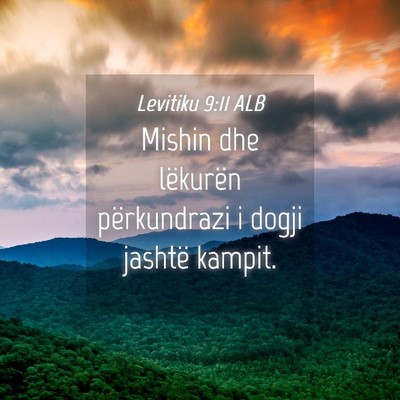 Picture 04 - Levitiku 9:11 ALB - Mishin dhe lëkurën përkundrazi i dogji jashtë - Bible Verse Picture