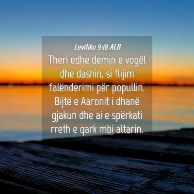 Picture 04 - Levitiku 9:18 ALB - Theri edhe demin e vogël dhe dashin, si flijim - Bible Verse Picture