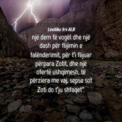 Picture 04 - Levitiku 9:4 ALB - një dem të vogël dhe një dash për flijimin e - Bible Verse Picture