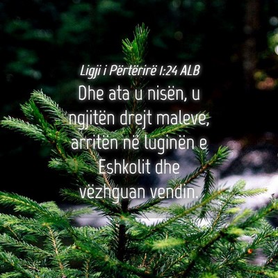 Picture 04 - Ligji i Përtërirë 1:24 ALB - Dhe ata u nisën, u ngjitën drejt maleve, - Bible Verse Picture