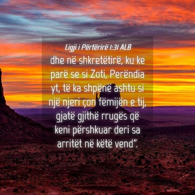 Picture 04 - Ligji i Përtërirë 1:31 ALB - dhe në shkretëtirë, ku ke parë se si Zoti, - Bible Verse Picture