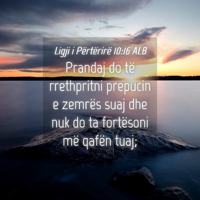 Picture 04 - Ligji i Përtërirë 10:16 ALB - Prandaj do të rrethpritni prepucin e zemrës - Bible Verse Picture