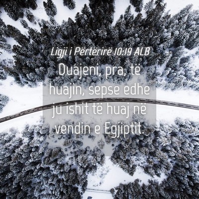 Picture 04 - Ligji i Përtërirë 10:19 ALB - Duajeni, pra, të huajin, sepse edhe ju ishit të - Bible Verse Picture