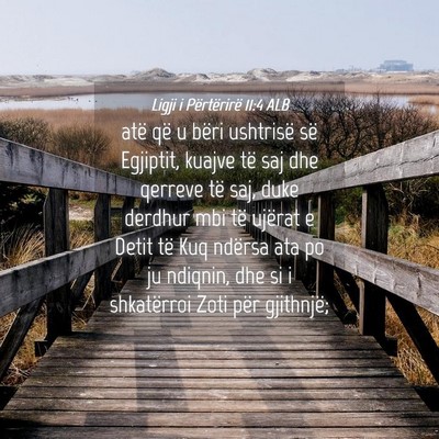 Picture 04 - Ligji i Përtërirë 11:4 ALB - atë që u bëri ushtrisë së Egjiptit, kuajve - Bible Verse Picture