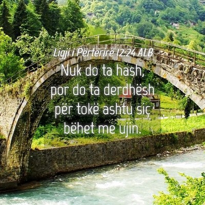 Picture 04 - Ligji i Përtërirë 12:24 ALB - Nuk do ta hash, por do ta derdhësh për tokë - Bible Verse Picture