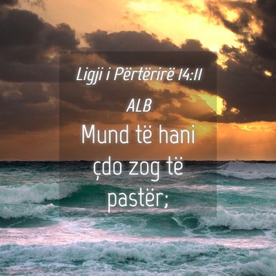 Picture 04 - Ligji i Përtërirë 14:11 ALB - Mund të hani çdo zog të - Bible Verse Picture