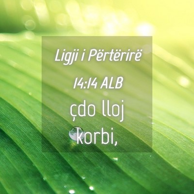 Picture 04 - Ligji i Përtërirë 14:14 ALB - çdo lloj - Bible Verse Picture