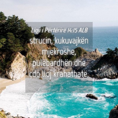 Picture 04 - Ligji i Përtërirë 14:15 ALB - strucin, kukuvajkën mjekroshe, pulëbardhën dhe - Bible Verse Picture