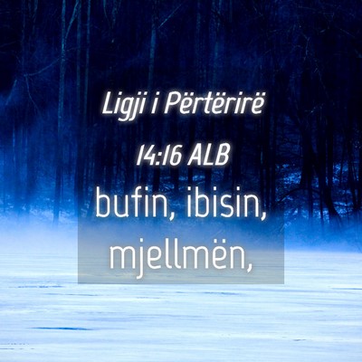Picture 04 - Ligji i Përtërirë 14:16 ALB - bufin, ibisin, - Bible Verse Picture