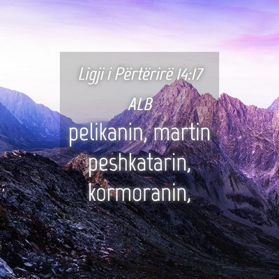 Picture 04 - Ligji i Përtërirë 14:17 ALB - pelikanin, martin peshkatarin, - Bible Verse Picture