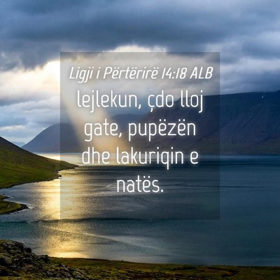 Picture 04 - Ligji i Përtërirë 14:18 ALB - lejlekun, çdo lloj gate, pupëzën dhe lakuriqin - Bible Verse Picture
