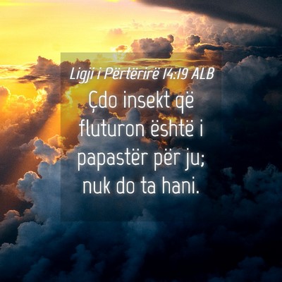 Picture 04 - Ligji i Përtërirë 14:19 ALB - Çdo insekt që fluturon është i papastër për - Bible Verse Picture