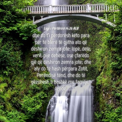 Picture 04 - Ligji i Përtërirë 14:26 ALB - dhe do t’i përdorësh këto para për të - Bible Verse Picture