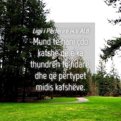 Picture 04 - Ligji i Përtërirë 14:6 ALB - Mund të hani çdo kafshë që e ka thundrën të - Bible Verse Picture