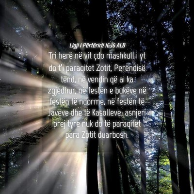 Picture 04 - Ligji i Përtërirë 16:16 ALB - Tri herë në vit çdo mashkull i yt do t’i - Bible Verse Picture