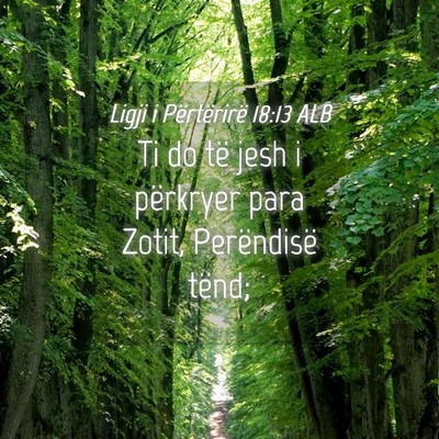 Picture 04 - Ligji i Përtërirë 18:13 ALB - Ti do të jesh i përkryer para Zotit, - Bible Verse Picture