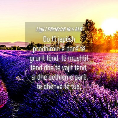 Picture 04 - Ligji i Përtërirë 18:4 ALB - Do t’i japësh prodhimin e parë të grurit - Bible Verse Picture