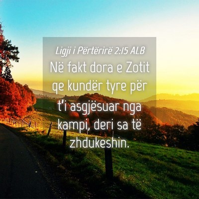 Picture 04 - Ligji i Përtërirë 2:15 ALB - Në fakt dora e Zotit qe kundër tyre për t’i - Bible Verse Picture