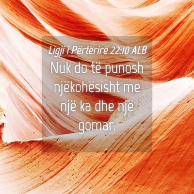 Picture 04 - Ligji i Përtërirë 22:10 ALB - Nuk do të punosh njëkohësisht me një ka dhe - Bible Verse Picture